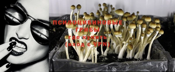 гидропоника Надым