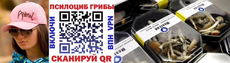 купить   Лосино-Петровский  Галлюциногенные грибы GOLDEN TEACHER 